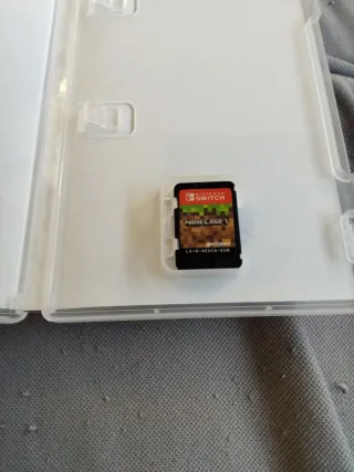 Minecraft Nintendo Switch