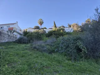 Trabajos con Mini Excavadora Y Desbrozes