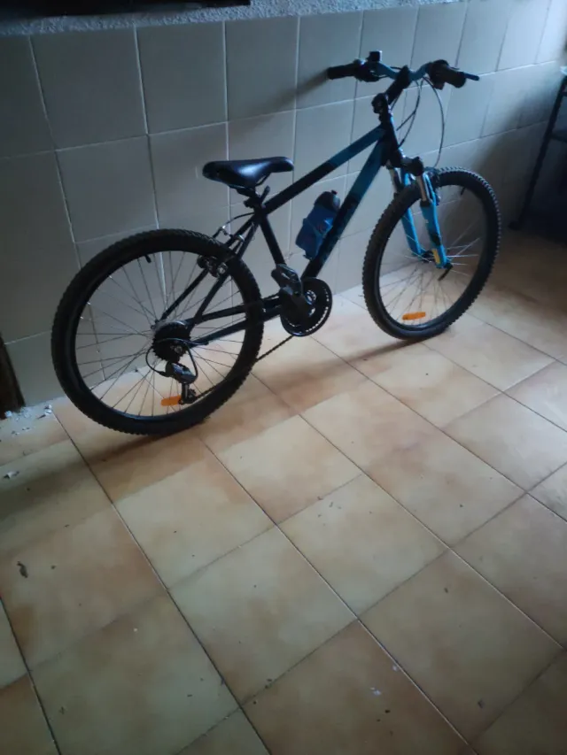 Bicicleta infantil 20 azul