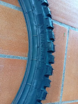 Michelin Anakee Wild 21