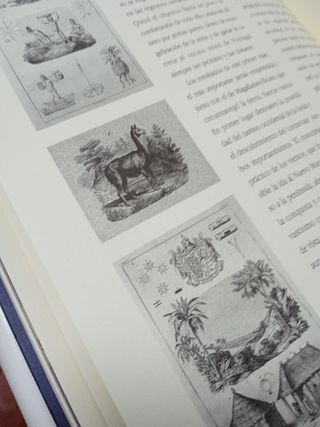 LA NIÑA, LA PINTA Y LA SANTA MARÍA