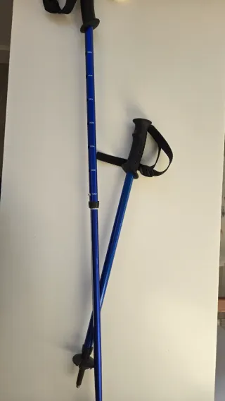 Bastones de trekking telescópicos azules
