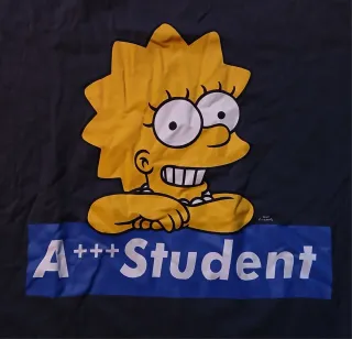 Zara 2 Camisetas manga corta Talla M