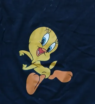 Zara 2 Camisetas manga corta Talla M