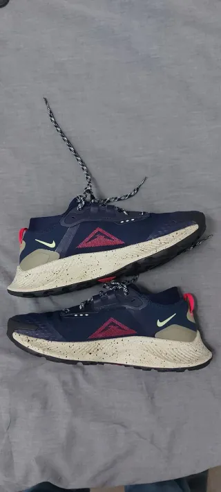 Nike Pegasus Trail Gore-Tex Talla 42.5