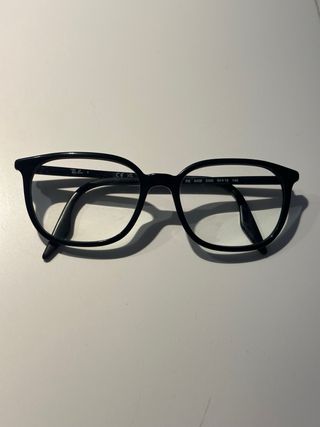 Gafas Ray-Ban Pasta Negras