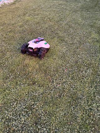 Robot cortacésped Yuka mini 500 - sin cable