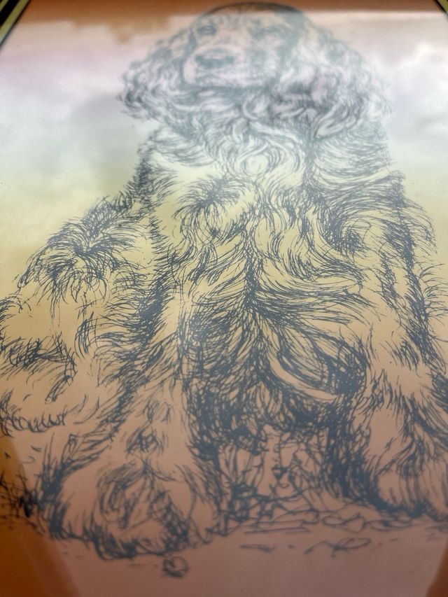 Quadro di un cane Cocker Spaniel