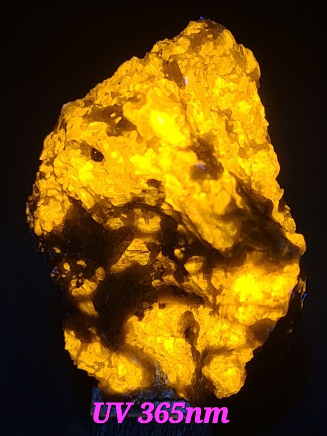 Wernerite: Minerale fluorescente