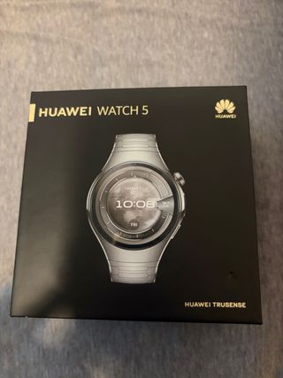 Huawei Watch 5 Titanio