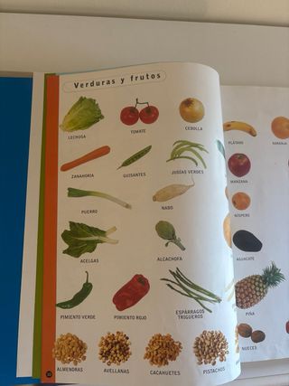 Imaginario / Imaginery: Diccionario En Imagenes...