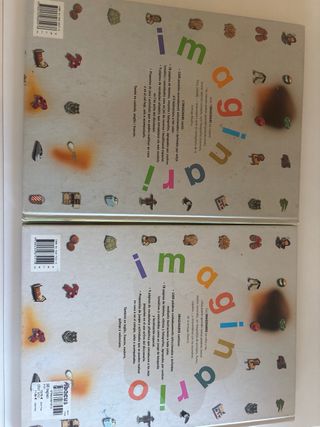Imaginario / Imaginery: Diccionario En Imagenes...