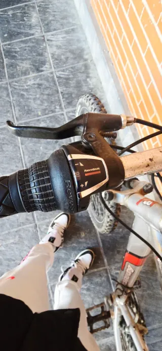 Bicicleta de montaña plateada