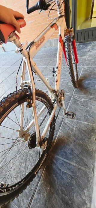 Bicicleta de montaña plateada