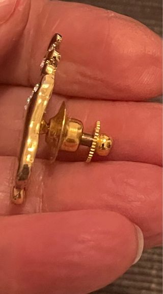 Spilla a forma di rinoceronte in acciaio dorato