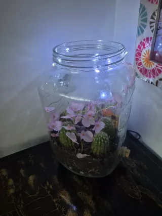 Terrario Decorativo con Cactus y Flores