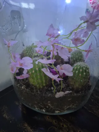 Terrario Decorativo con Cactus y Flores