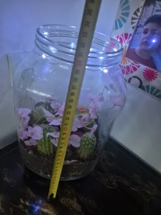 Terrario Decorativo con Cactus y Flores