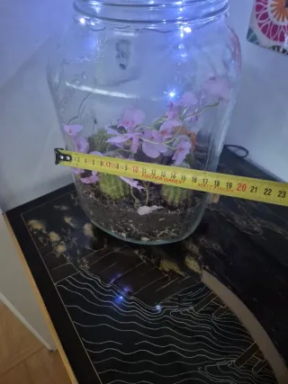 Terrario Decorativo con Cactus y Flores