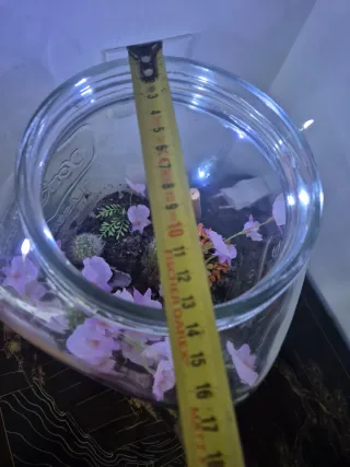 Terrario Decorativo con Cactus y Flores