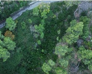 Solar en venta en Vallirana