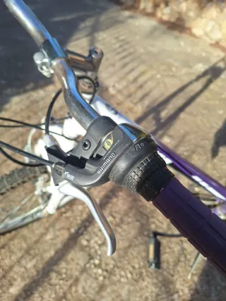 Bicicleta juvenil STELS 26"