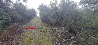 Solar en venta en Zona Centro en Córdoba