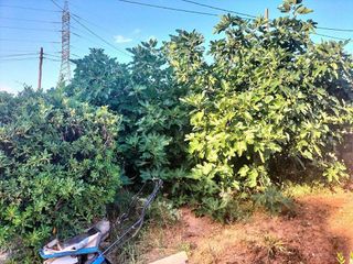 Solar en venta en Castellbisbal