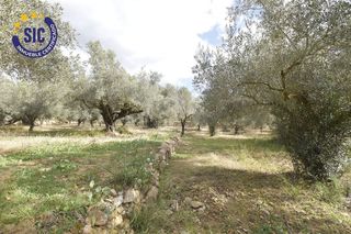 Terreno en venta en Les Boqueres-Zona norte en Almazora/Almassora