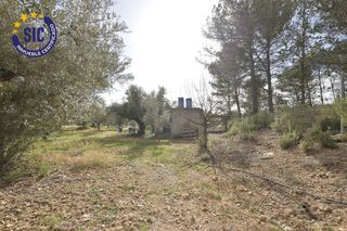 Terreno en venta en Les Boqueres-Zona norte en Almazora/Almassora