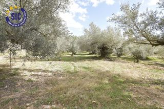 Terreno en venta en Les Boqueres-Zona norte en Almazora/Almassora