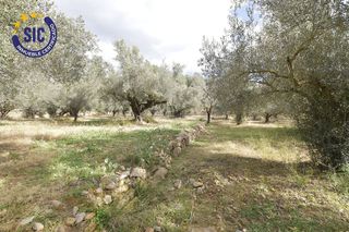 Terreno en venta en Les Boqueres-Zona norte en Almazora/Almassora