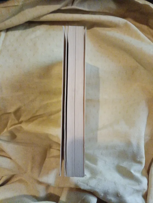 Libro  Santa Teresa de Jesús Su Vida