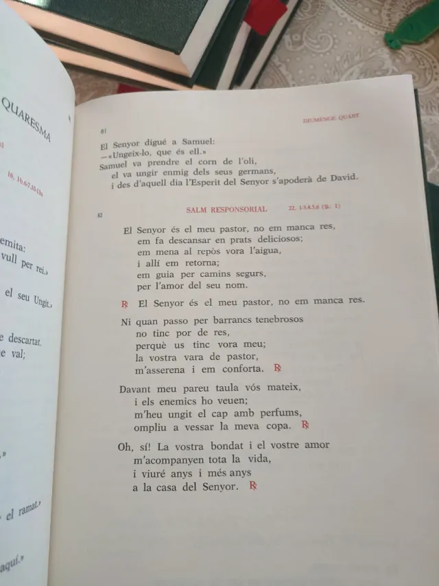 Misal Roma , Ferial i Leccionari