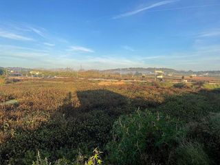 Terreno en alquiler en Porreres