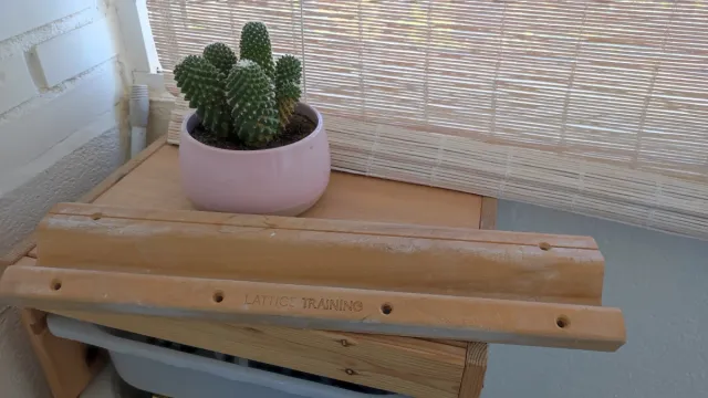 Barra Lattice Training Escalada