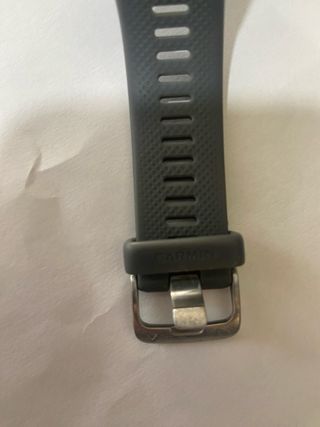 Garmin Swim 2 Reloj Inteligente Gris