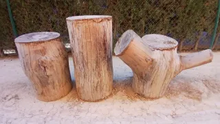 Troncos de madera decorativos