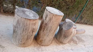 Troncos de madera decorativos