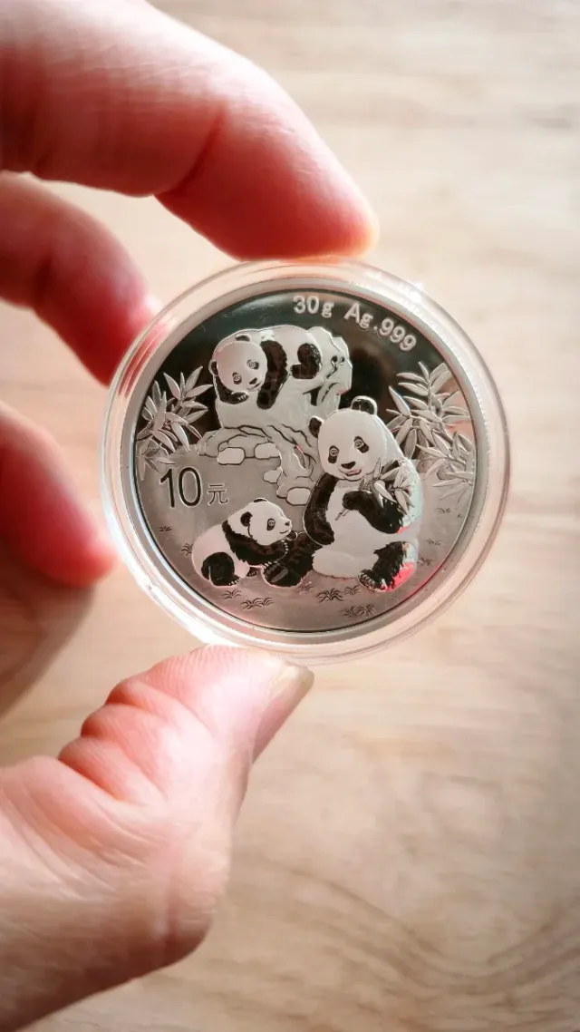 Moneda Plata 999 30g PANDA China 2025