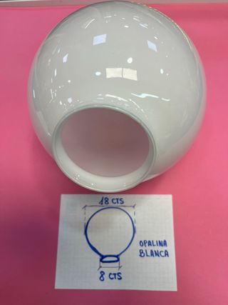 Tulipas opalina blanca de cristal (varias)