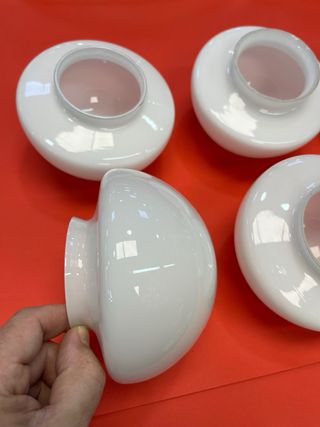 Tulipas opalina blanca de cristal (varias)