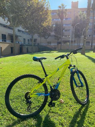 Bicicleta Monty KY8