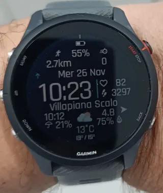 Garmin Forerunner 255 Grigio