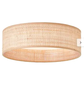 Plafón LED INSPIRE 3840 lm luz regulable con mando