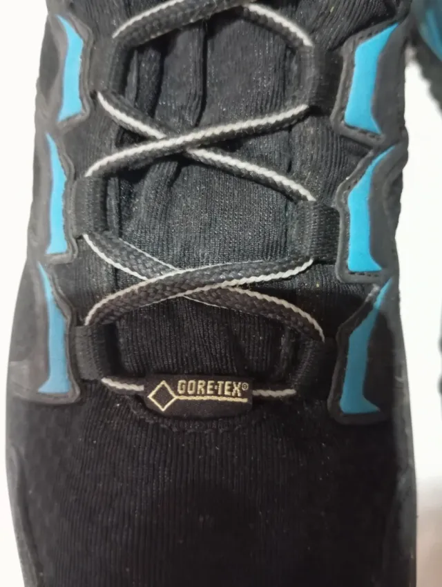 Botas de montaña Lowa Gore-Tex