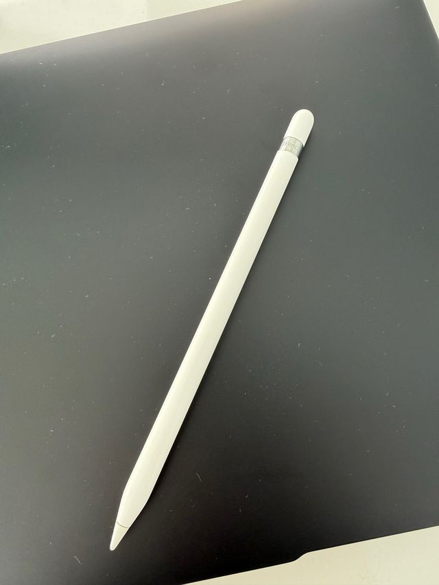 Apple Pencil 1ª Gen