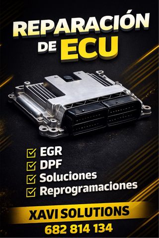 Soluciones para sistemas EGR, DPF o Adblue