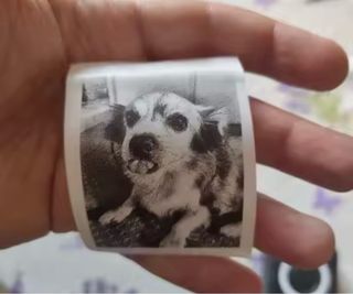 Mini Impresora Portátil Negra y Blanca