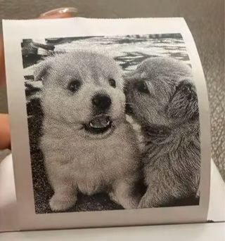 Mini Impresora Portátil Negra y Blanca